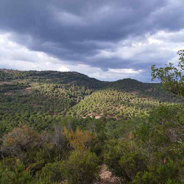 Los Llanos - Córdoba